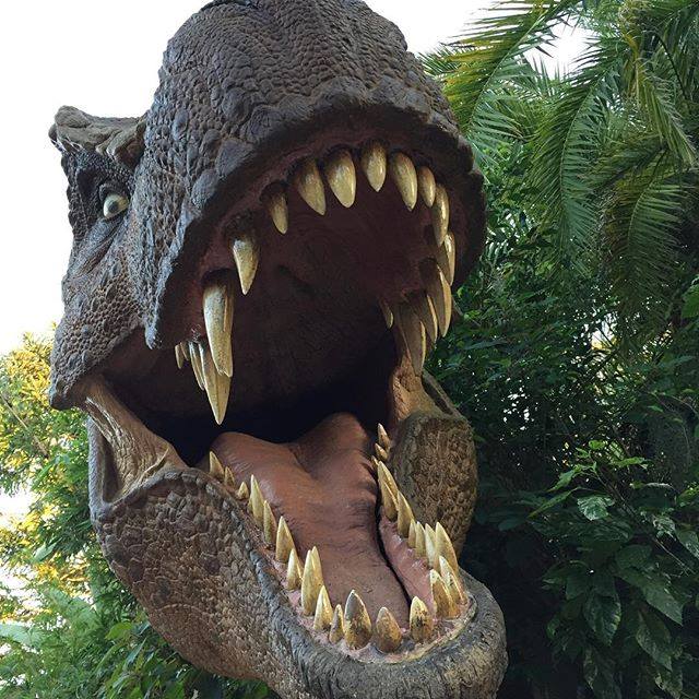 春天没能一起放风筝夏天一起看海,春天去不去旅游