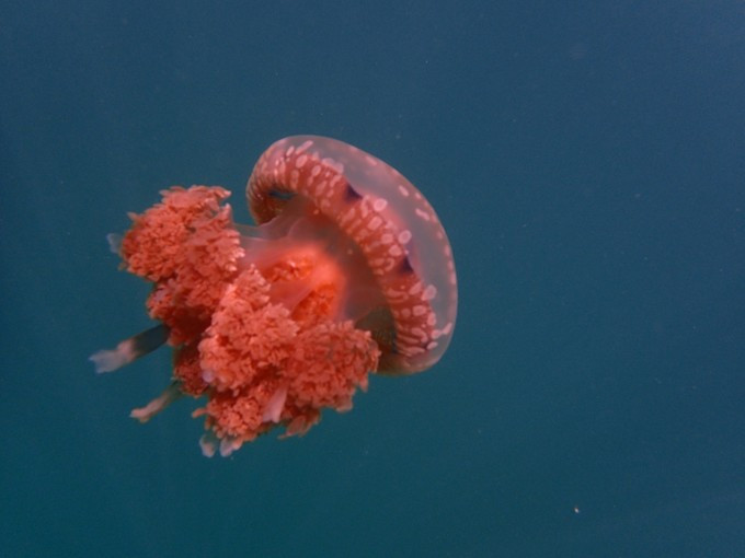 蜜月短途旅行,蜜月旅行遇见朋友闺蜜