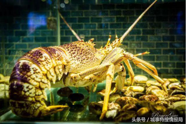 这是我见过最详细的旅游攻略,澳门必须去的旅游景点推荐