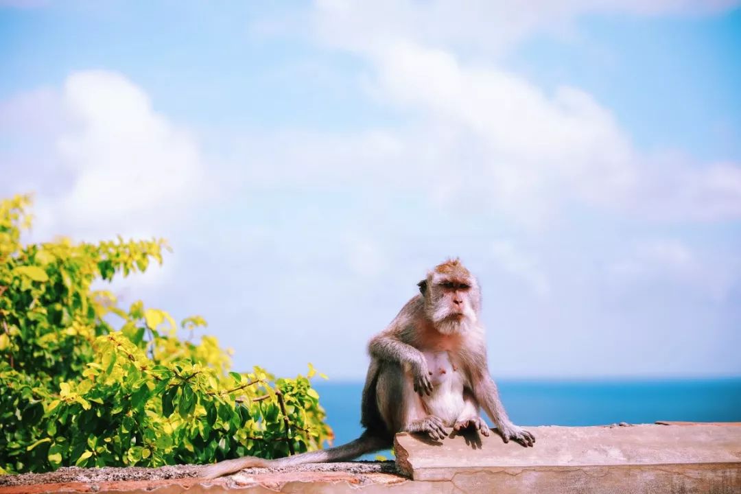 28岁前该去的9个旅游地,必去的30个旅行地