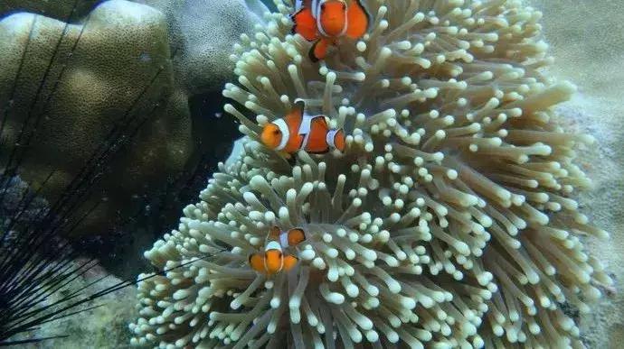 冷门便宜的超美海岛,四个值得去的绝美海岛