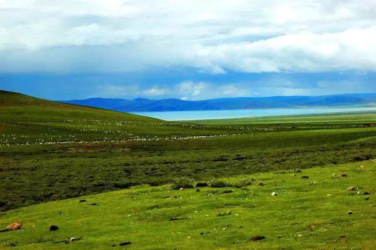 自驾游怎么穿越雪谷,自驾穿越雪地雾凇视频