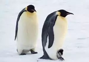 广州人会说不会写的31个粤语字,有哪些会说不会写的粤语字