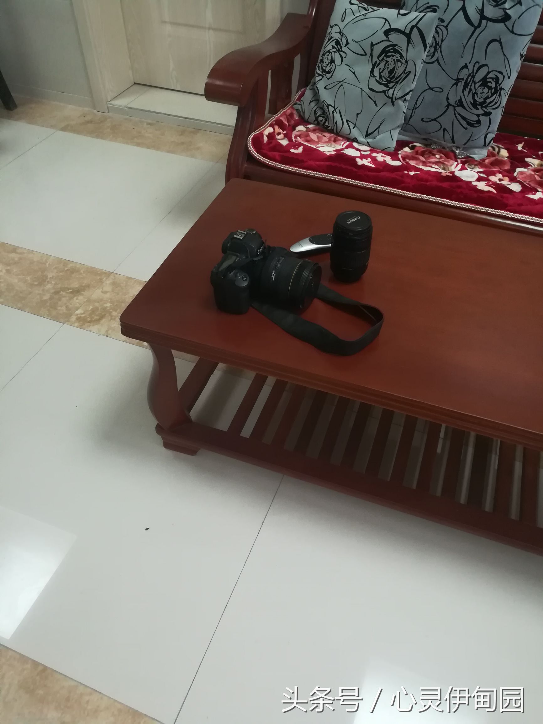 中华麋鹿园,中华麋鹿基地