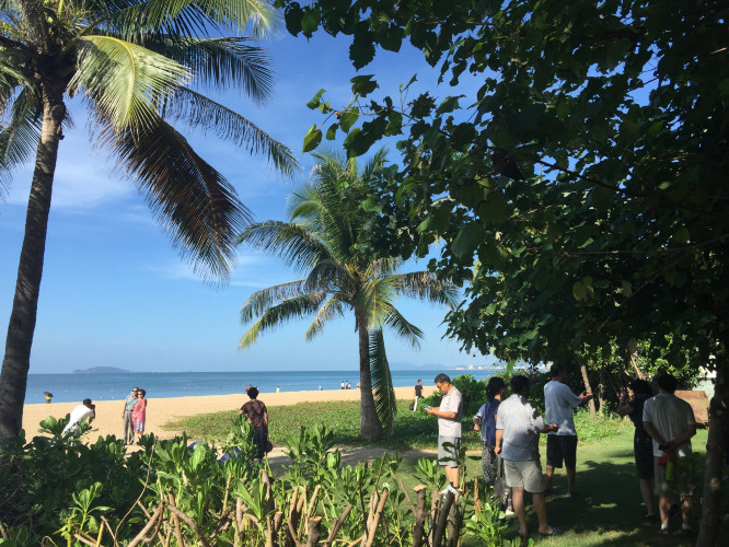 带上父母去看海完整视频,带你去三亚一起看海享受亲子时光