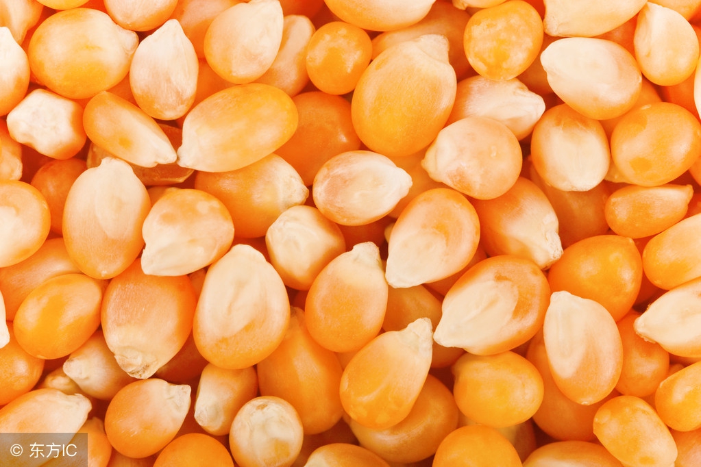 春耕育苗技术视频教程,种植技术催芽