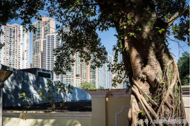 这是我见过最详细的旅游攻略,澳门必须去的旅游景点推荐