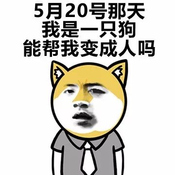 怎么跟喜欢的人表白表情包,表白撩人表情包合集确认过眼神