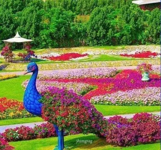 11月4，有群的都看看，太美了，这一辈子见一次值了！