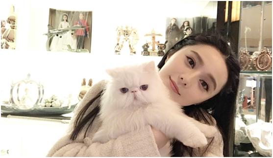 范冰冰自创品牌怎么样,范冰冰自创护肤品牌靠谱吗