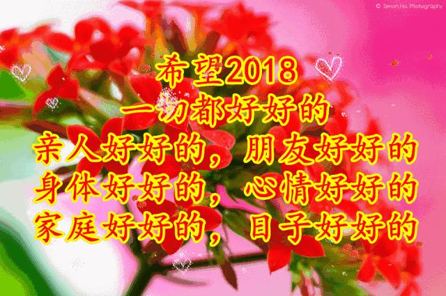 11月4，有群的都看看，太美了，这一辈子见一次值了！