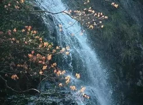 北京各区16处免费森林公园,北京最新40个公园