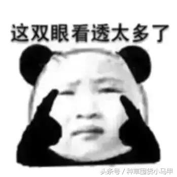 十大没必要买的东西,不能买的十大物件