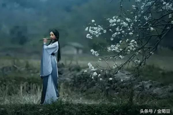 段正淳最狠的六个女人,段正淳的六个女人