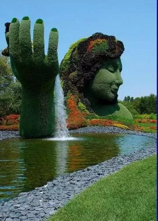 11月4,有群的都看看,太美了,这一辈子见一次值了!