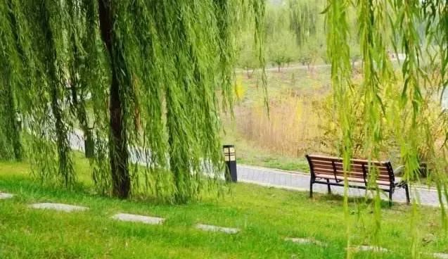 北京各区16处免费森林公园,森林公园北京有几个