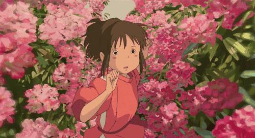 泸州春日赏花好去处,花开似海请收好泸州这份赏花秘籍