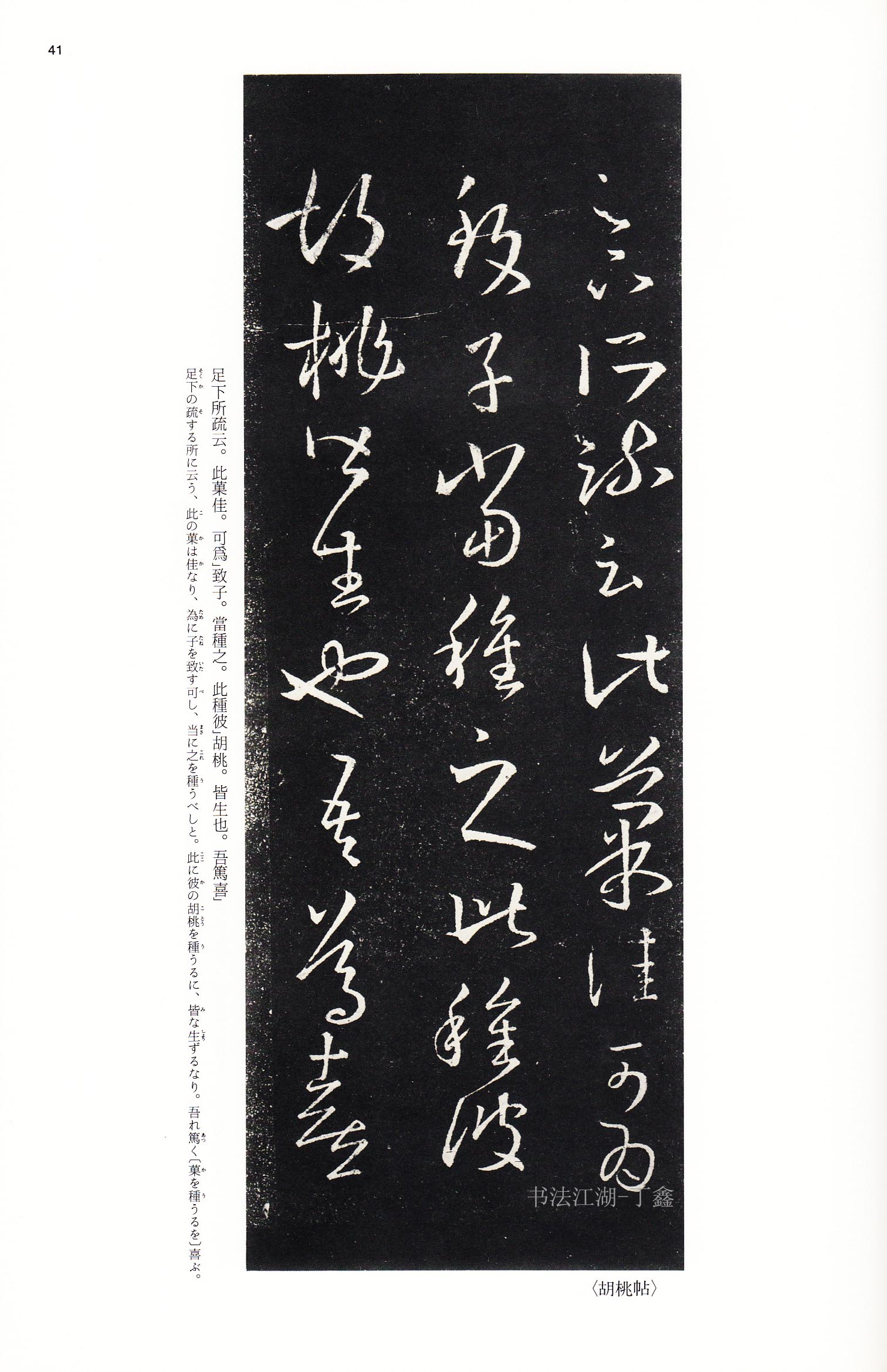 学书法的人一定要看哪些书,学书法必读书籍