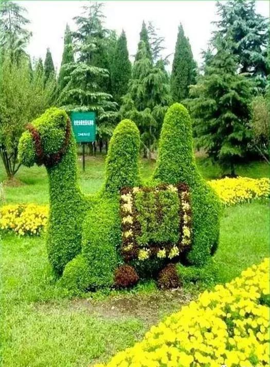 刚出的群主相册,有群的都看看,太美了,这一辈子见一次值了!