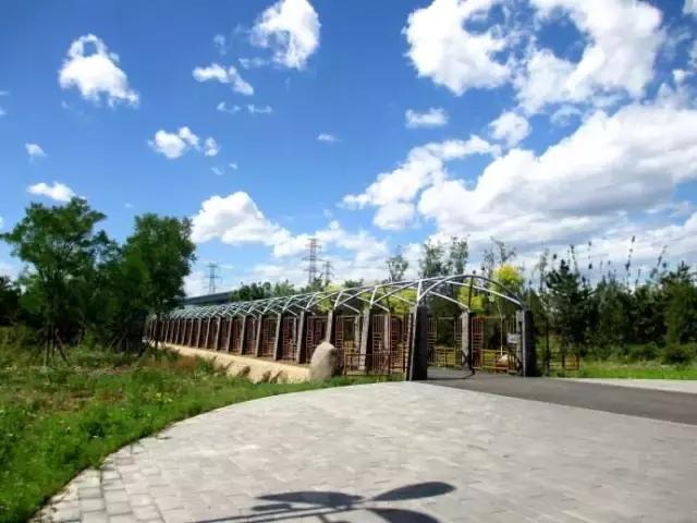 北京各区16处免费森林公园,北京最新40个公园