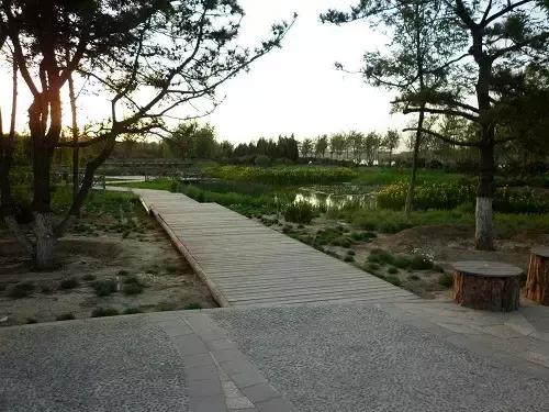 北京各区16处免费森林公园,北京最新40个公园