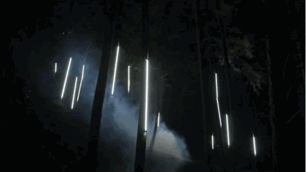 加拿大奇幻森林,加拿大魔法森林风景