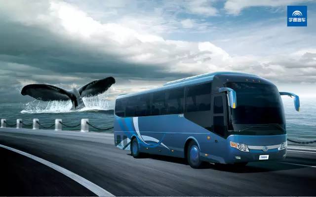 看完想辞职的视频,看完想辞职系列