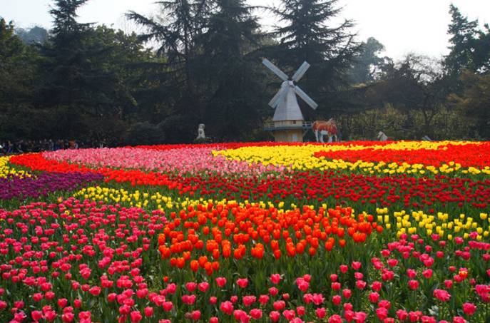 来一趟重庆带什么好,如果有朋友来重庆你会带他去哪