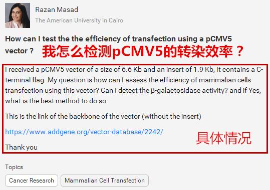 最靠谱的检索网站,网站检索大全