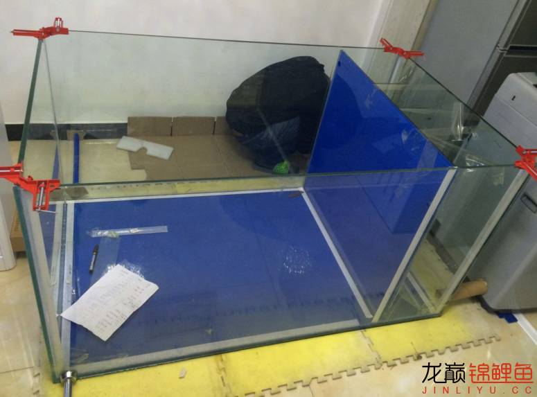 粘锦鲤地缸教程,鱼友锦鲤地缸