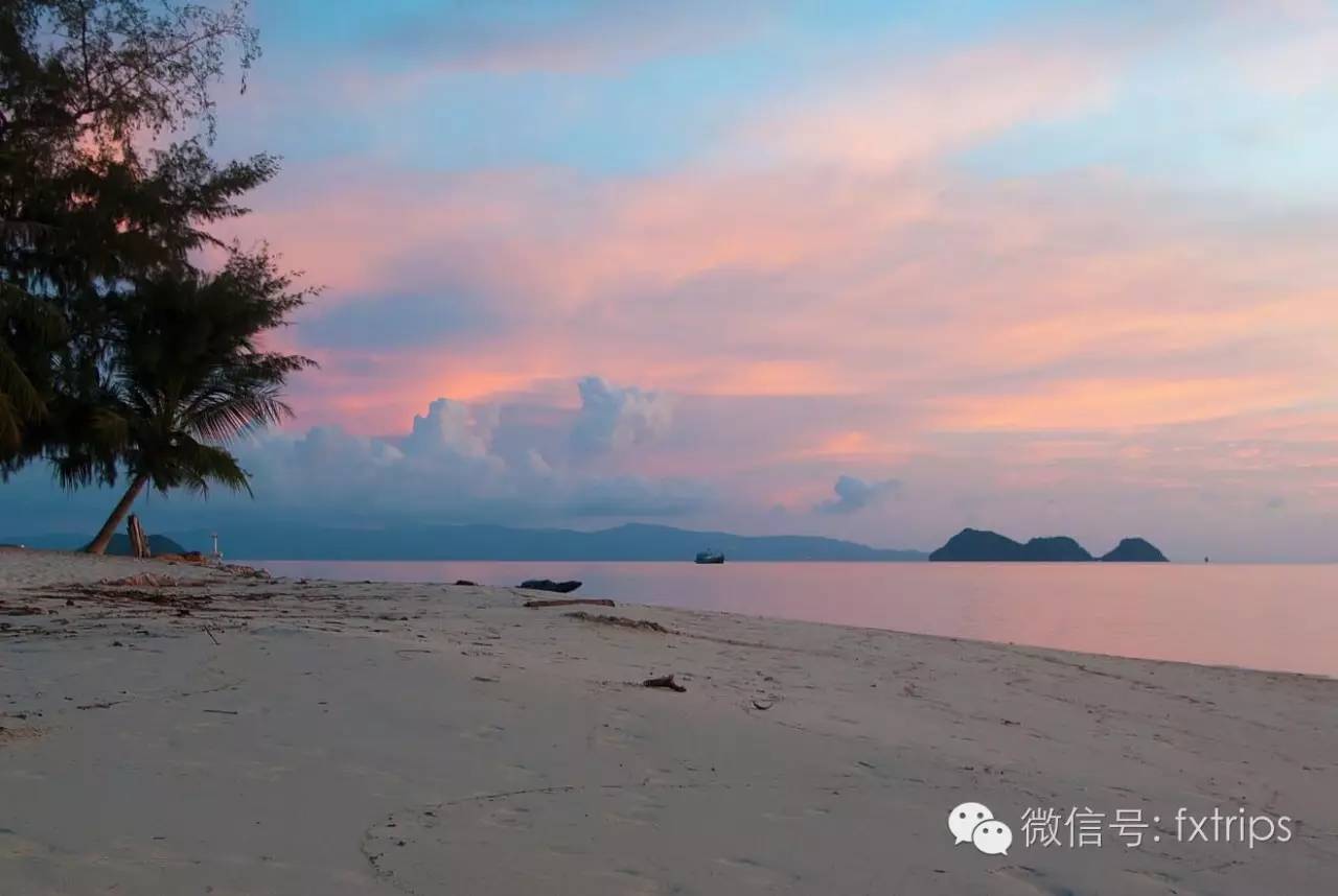 单身汪不哭，这里有属于你们的夜晚