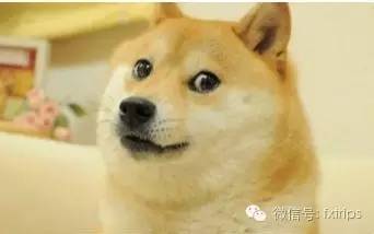 单身汪不哭，这里有属于你们的夜晚