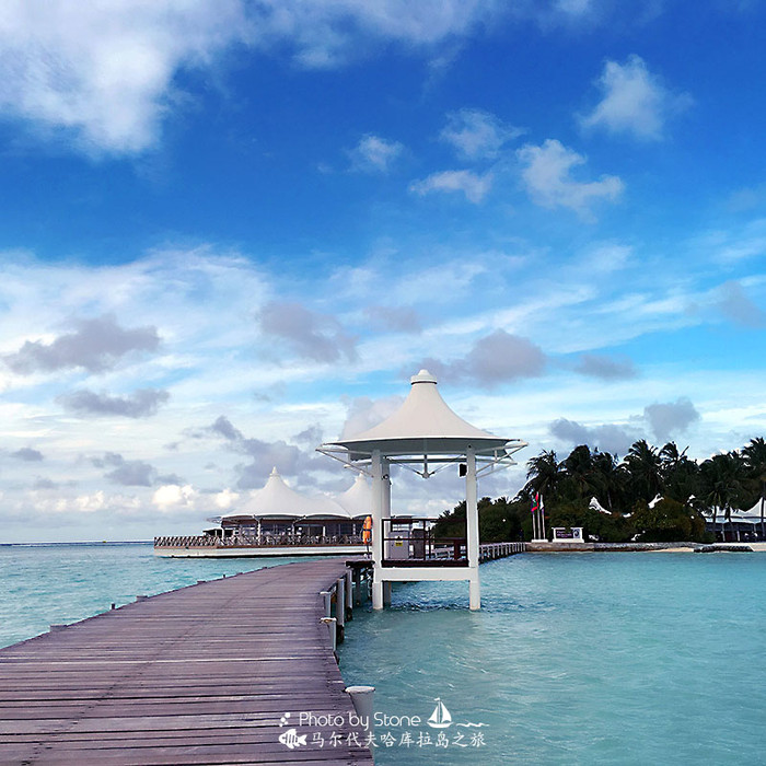 美丽的马尔代夫视频音乐,马尔代夫哈拉微莉岛游记