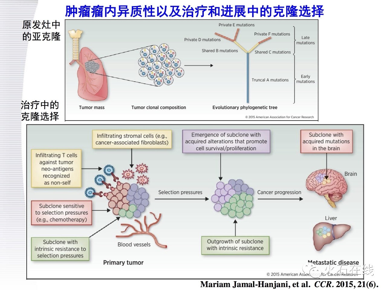ctdna在癌症诊断中的应用,肿瘤靶向基因检测临床推广ppt