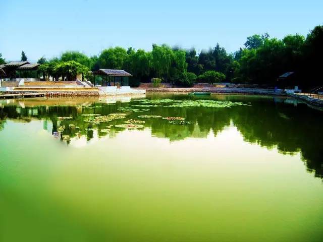 郑州适合居住,郑州哪个区最适合居住