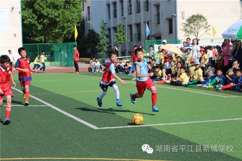 孩子在学校很好学习,孩子在新学校读书