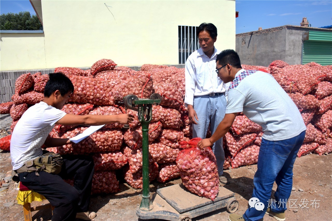 《地理标志产品 酒泉洋葱》地方标准通过专家审查