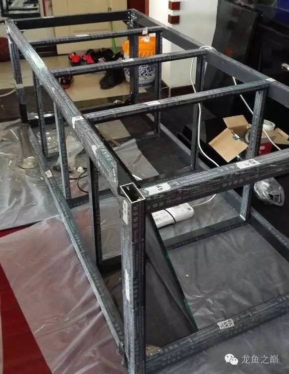 超级白，超会做，这才叫养鱼！