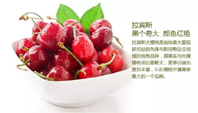 烟台樱桃和智利樱桃有啥区别,烟台樱桃品种介绍大全