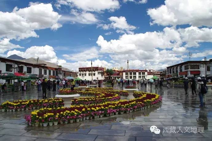 拉萨夜雨发表于哪一年,拉萨夜雨讲解