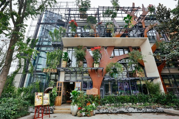 东莞欧冠决赛看球,欧冠决赛看台举杯