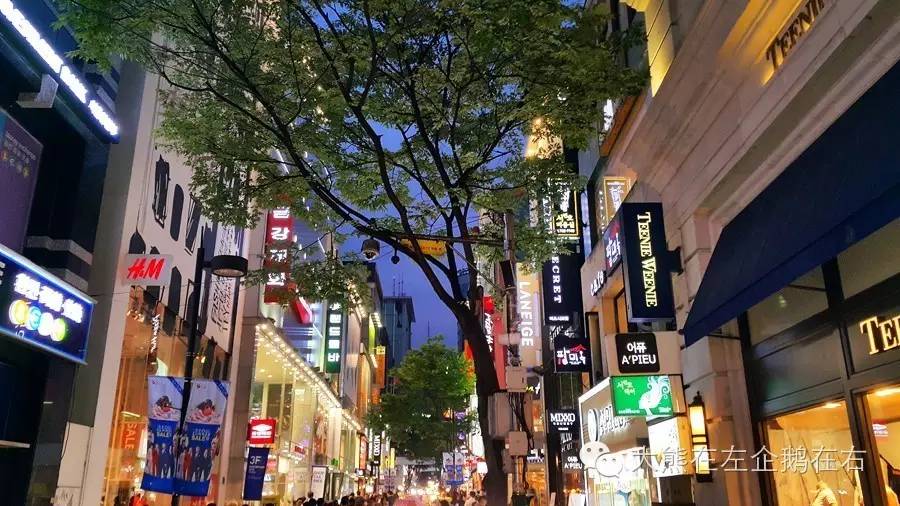 作为宋太太，去韩国自由行之前要了解的21件事「上篇」