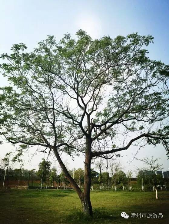 杭州西溪生态公园,西溪郊野公园好玩吗