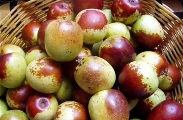 是不是正宗滨海人，一句话就能证明！