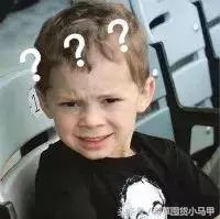 kiko倒闭了吗,kiko破产事件