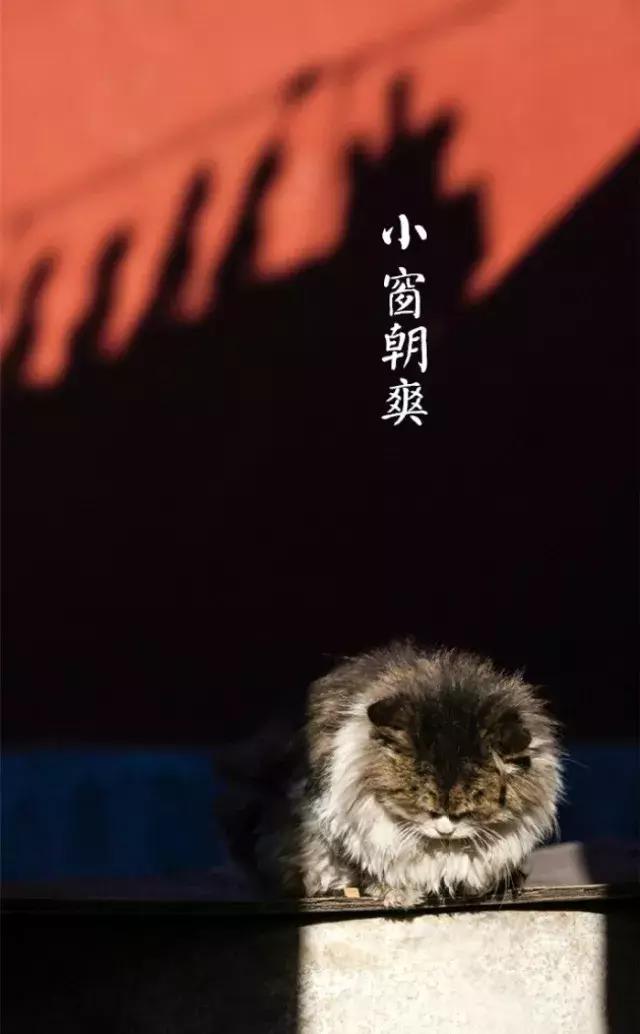 二十四节气惊蛰是哪一天,二十四节气惊蛰怎么画