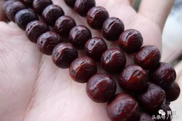 今年凤眼菩提价格,2022年凤眼价格会跌吗