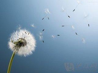 中考复习实数练习题,中考数学实数专项练习