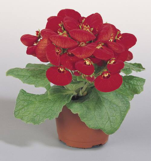 经量少多怎么办,经量太少该吃什么调理