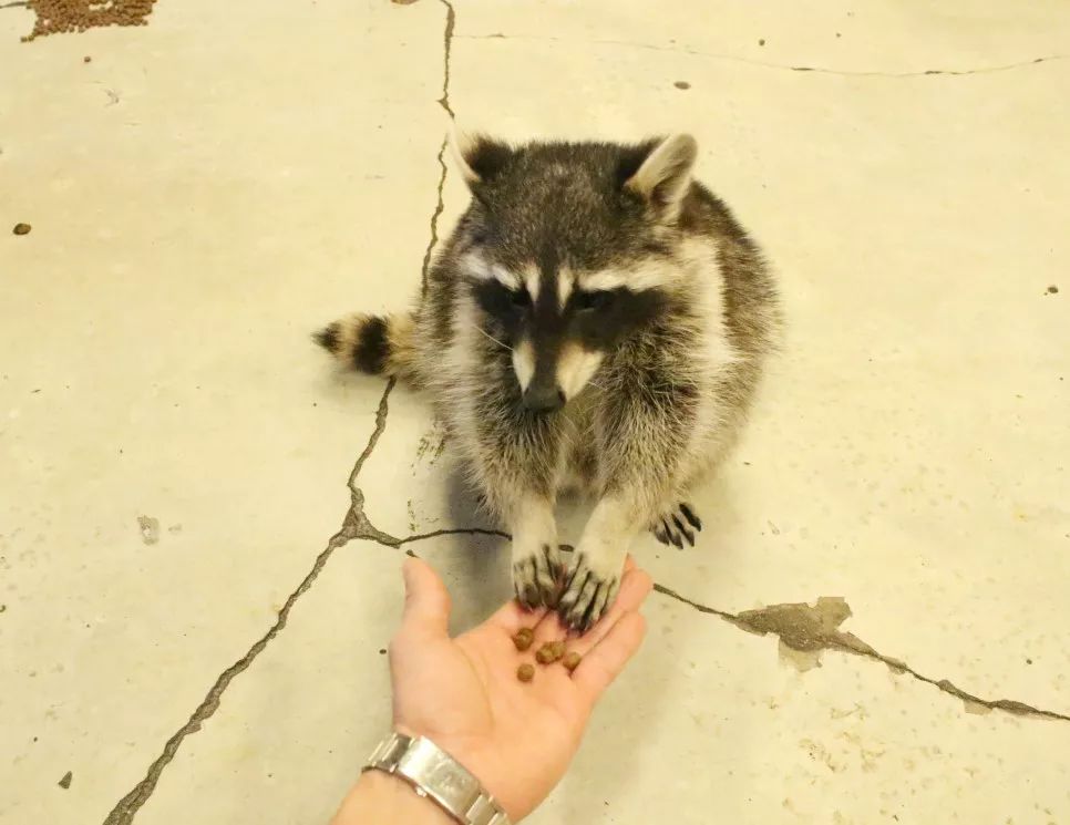 就连文艺女青年也找不到的史诗级咖啡店，因为它们真的藏在角落里